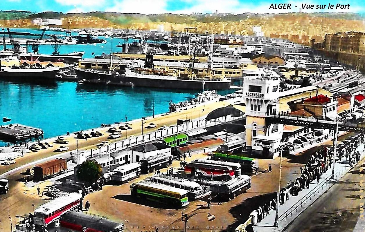 Alger - Vue sur le Port.jpg